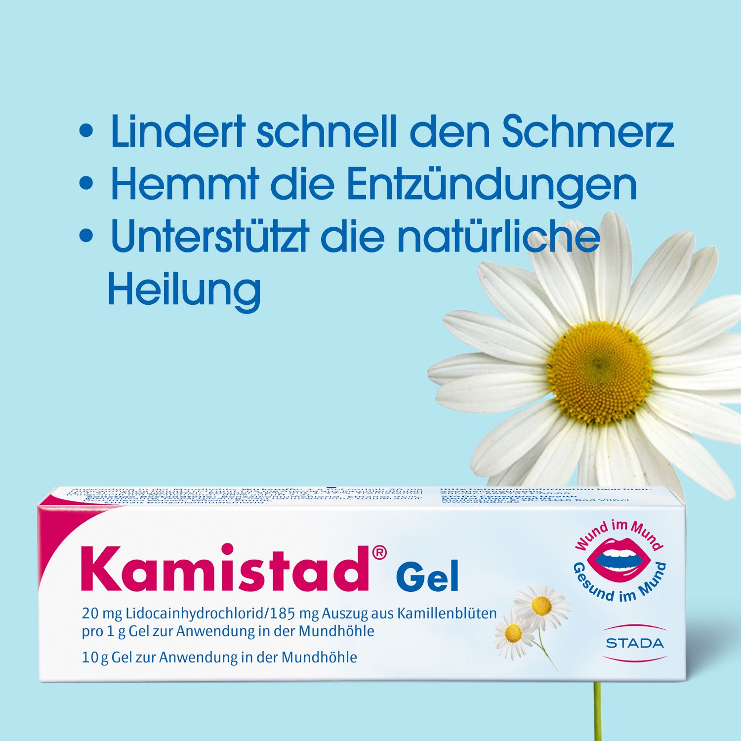 Kamistad® Gel bei Zahnfleischentzündungen und Aphten