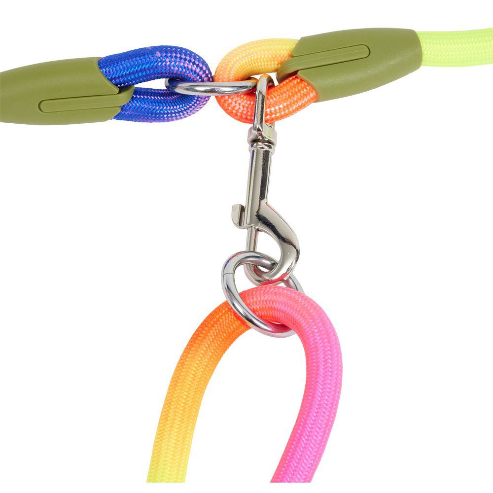 Laisse pour chien 6-en-1