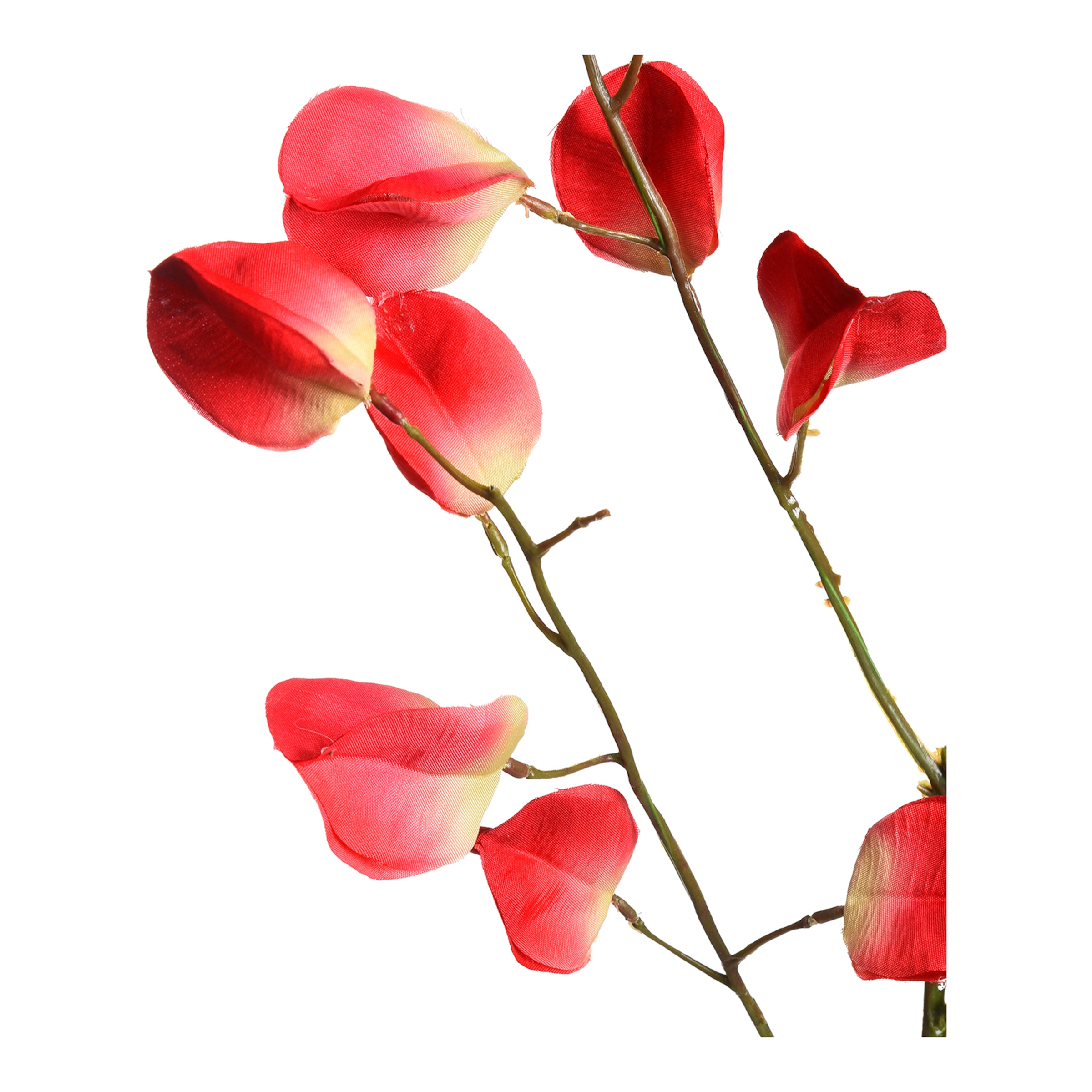 rot, L 84 cm