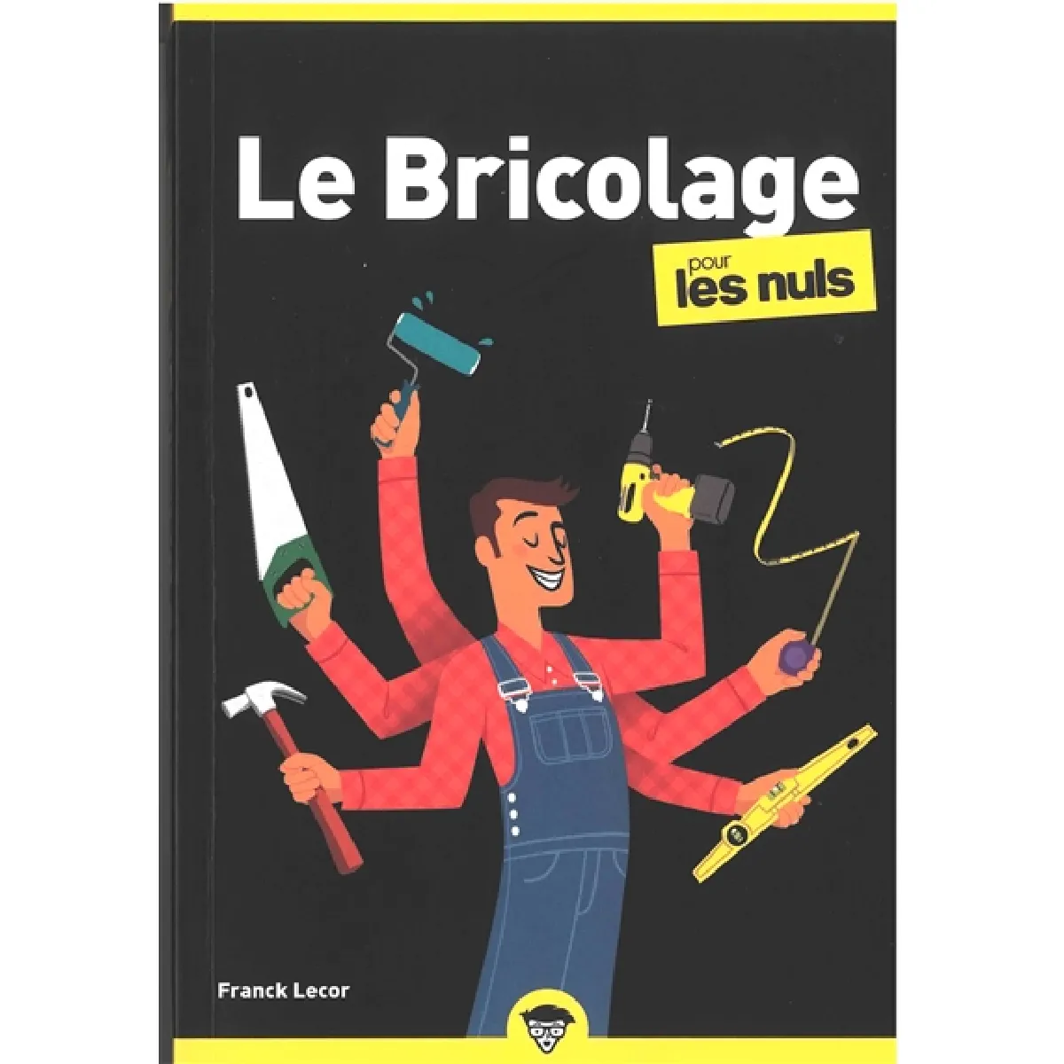 Le bricolage pour les nuls · Occasion