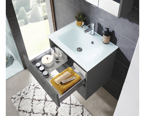 Pelipal xpressline 3261 grijs wastafelmeubel met glazen front BxHxD 60 x 52,9 x 42 cm