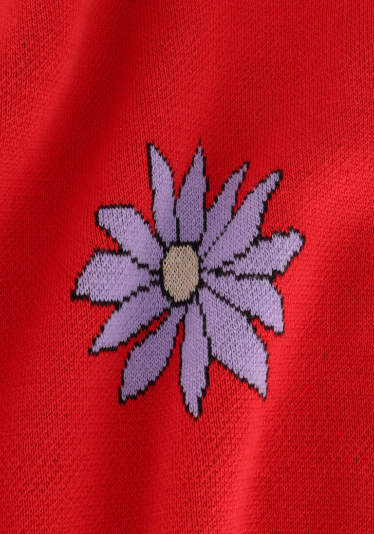 CARLIJNQ rode carlijnq coltrui dahlia - sweater with half turtleneck