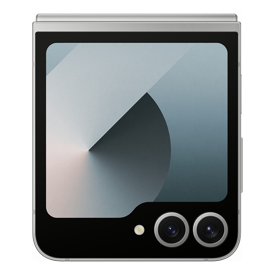 Samsung Galaxy Z Flip6 (Gris) - 256 Go - 12 Go
