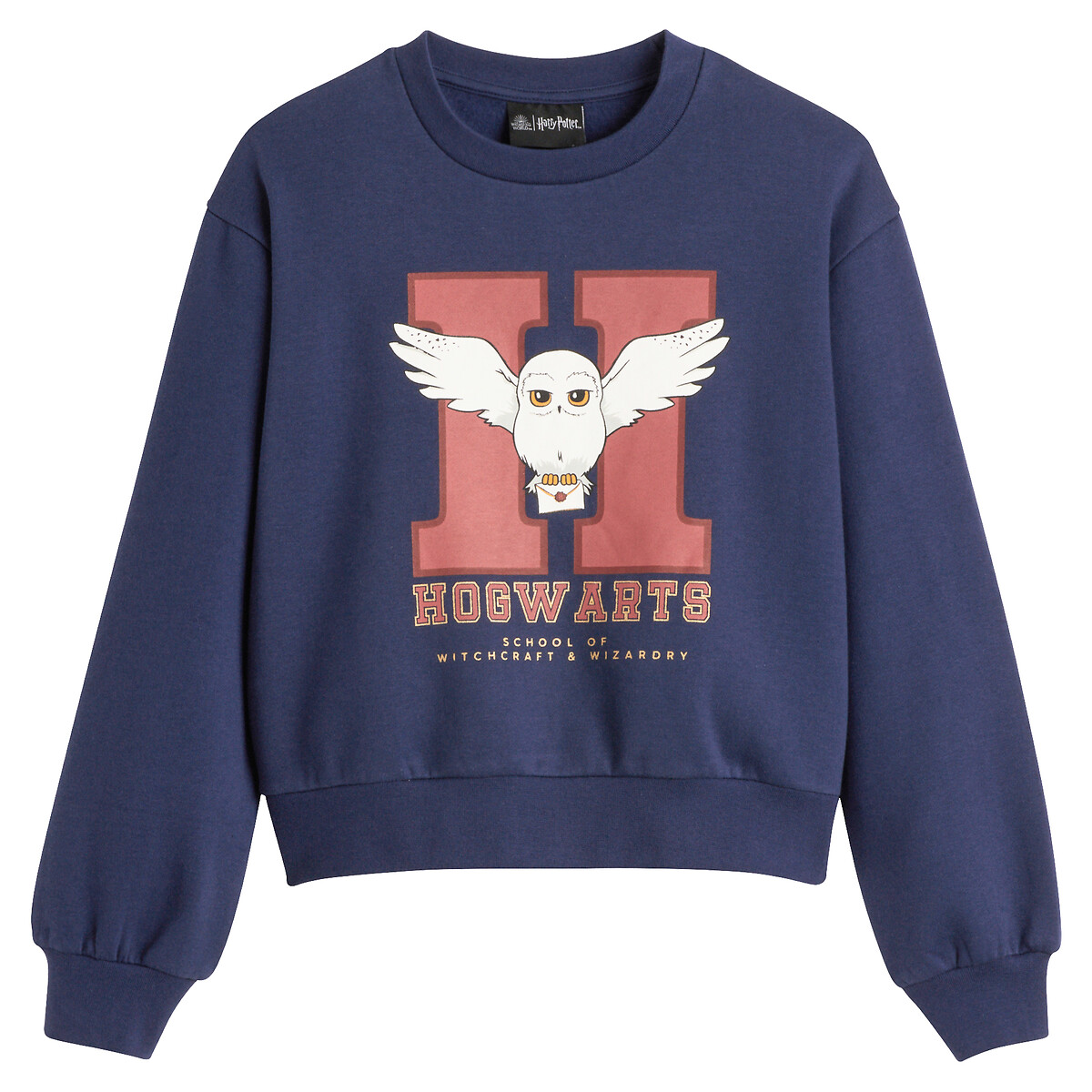 HARRY POTTER<br>Suéter Harry Potter em molton
