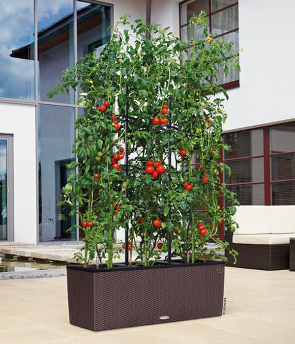 LECHUZA® Polyrattan-Kasten Trio Cottage,