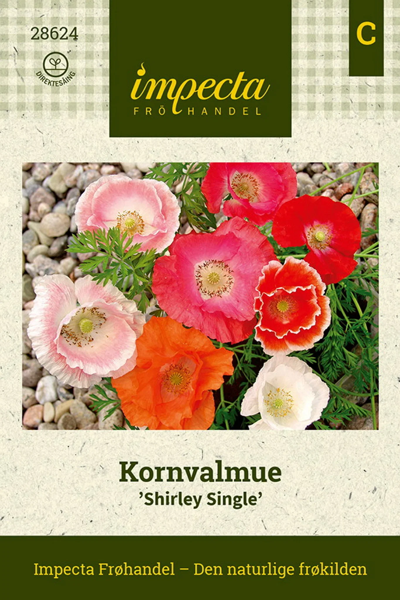 Papaver rhoeas 'Shirley Single' Kornvalmue 'Shirley Single'
