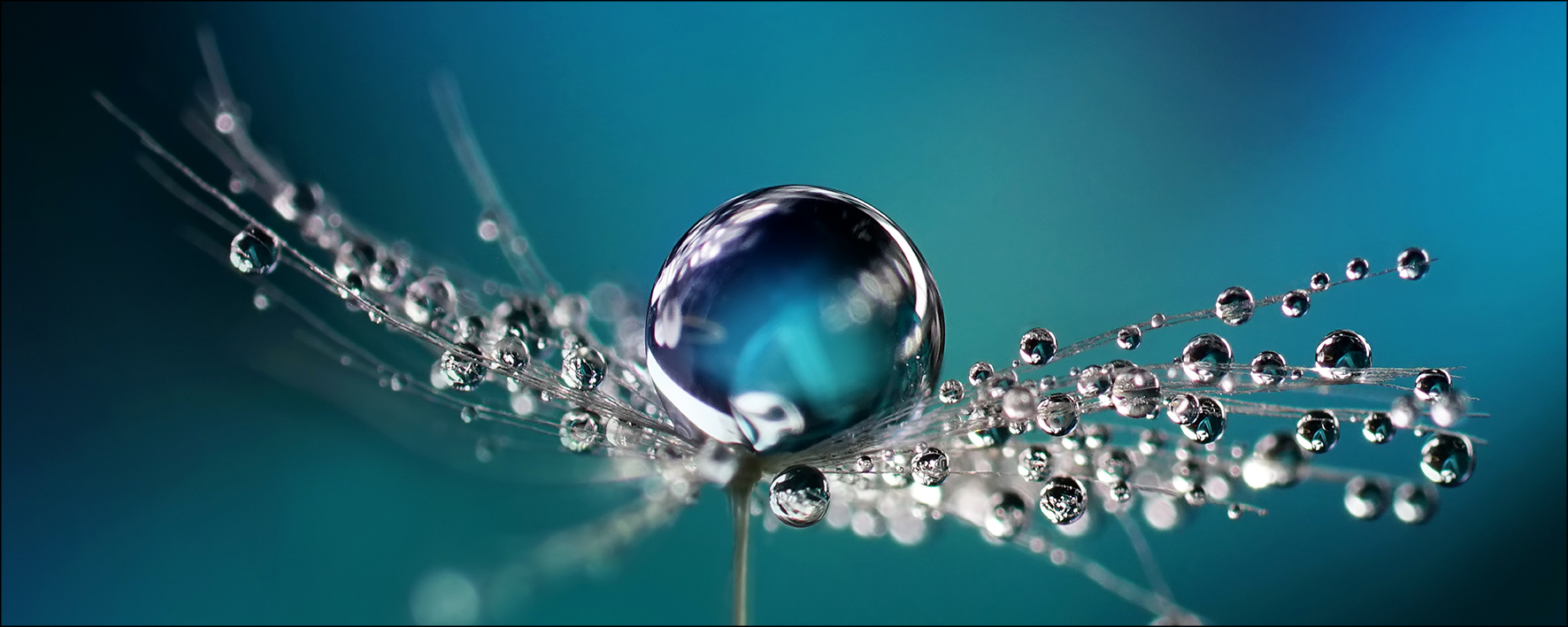 Glasbild DROP ON WATER