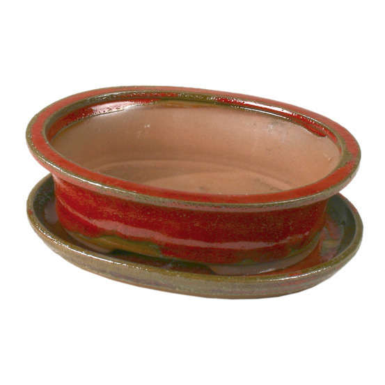 Poterie bonsaï + soucoupe, en terre cuite émaillée L. 21 x l. 17 cm