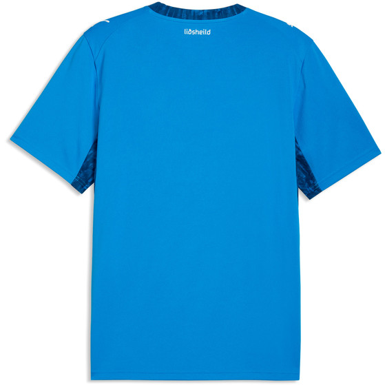 Puma Ijsland Thuis Shirt WK 2026