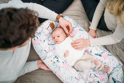 EcoViking Organic Babynest Cover Flamingo Dreams