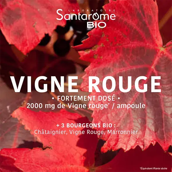 Santarome - Vinho Tinto Orgânico - Circulação, Pernas Leves - 20 ampolas