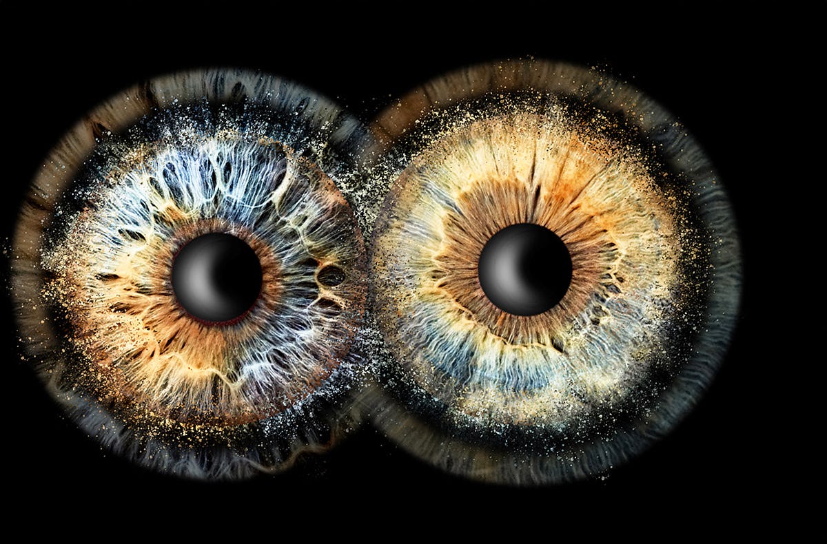 Iris Fotografie Fusion für 2 Haßfurt
