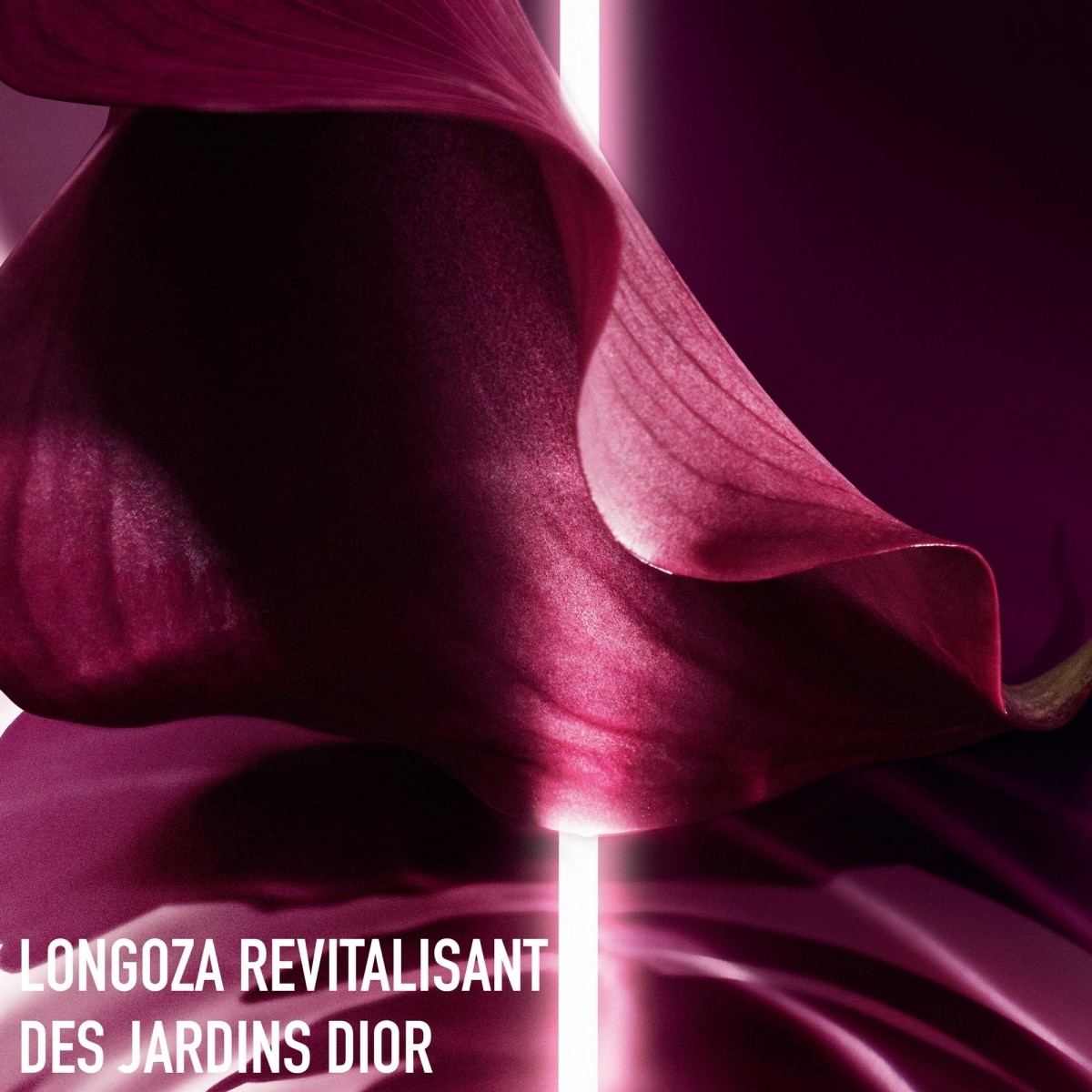 DIOR Capture TotaleSoin Regard C.E.L.L ENERGY