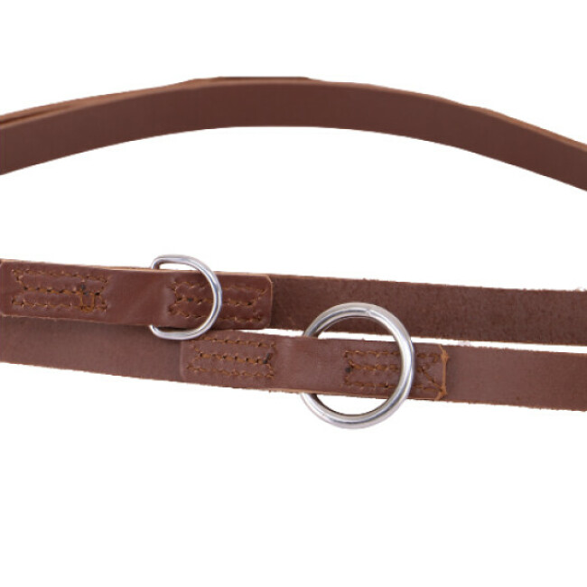 Laisse cuir multiposition pour chien