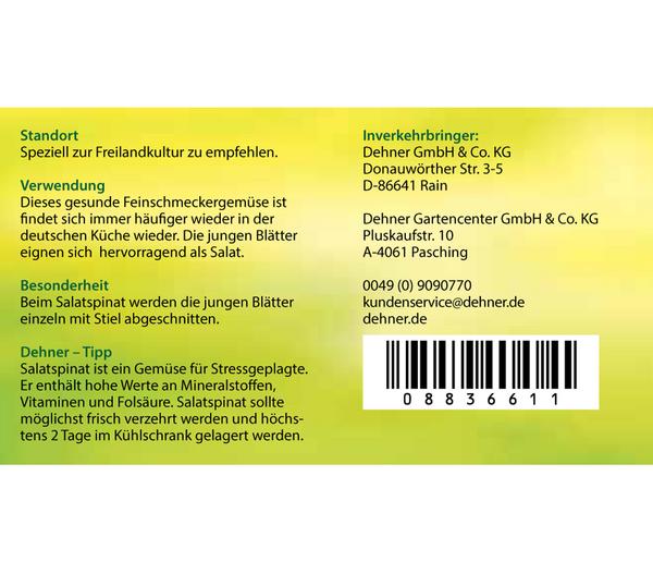 Blattspinat rot geadert, 12er Schale