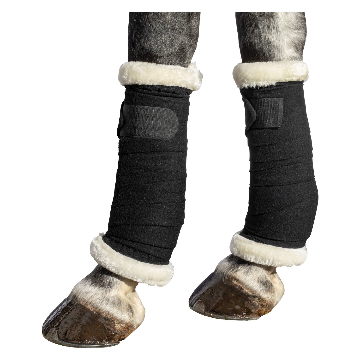 PROTECT by Horse-friends Bandagierunterlagen Dallas  - schwarz