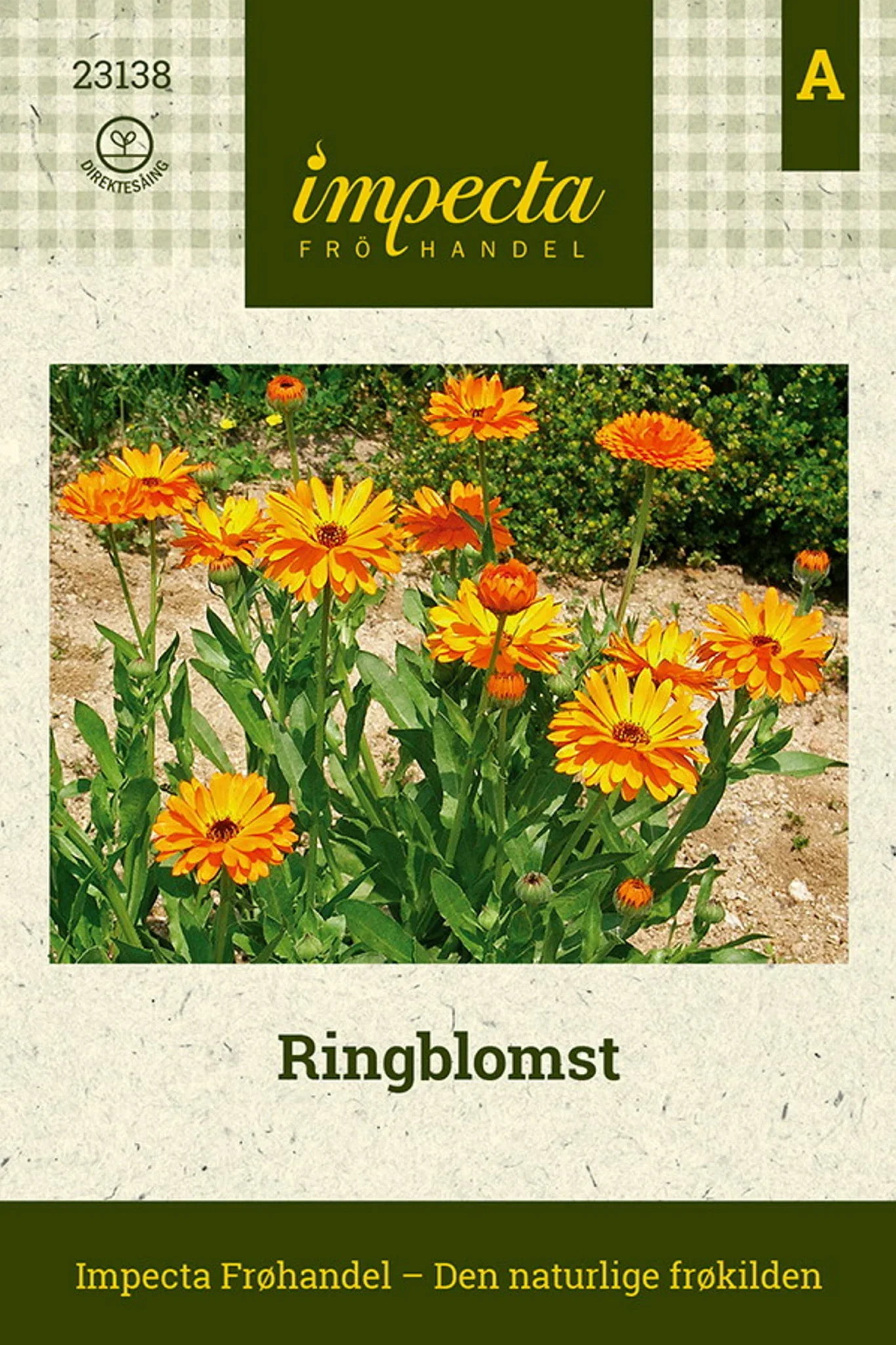 Calendula officinalis Ringblomst
