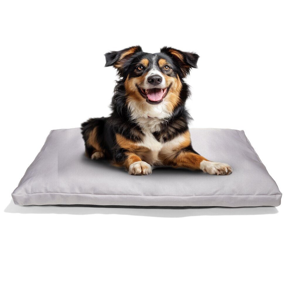 Coussin pour animaux noir ou gris 71x45cm