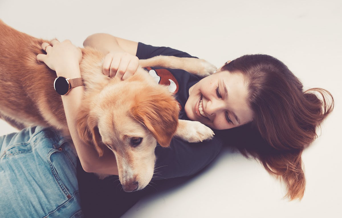 Tier Fotoshooting in Münster als Geschenk