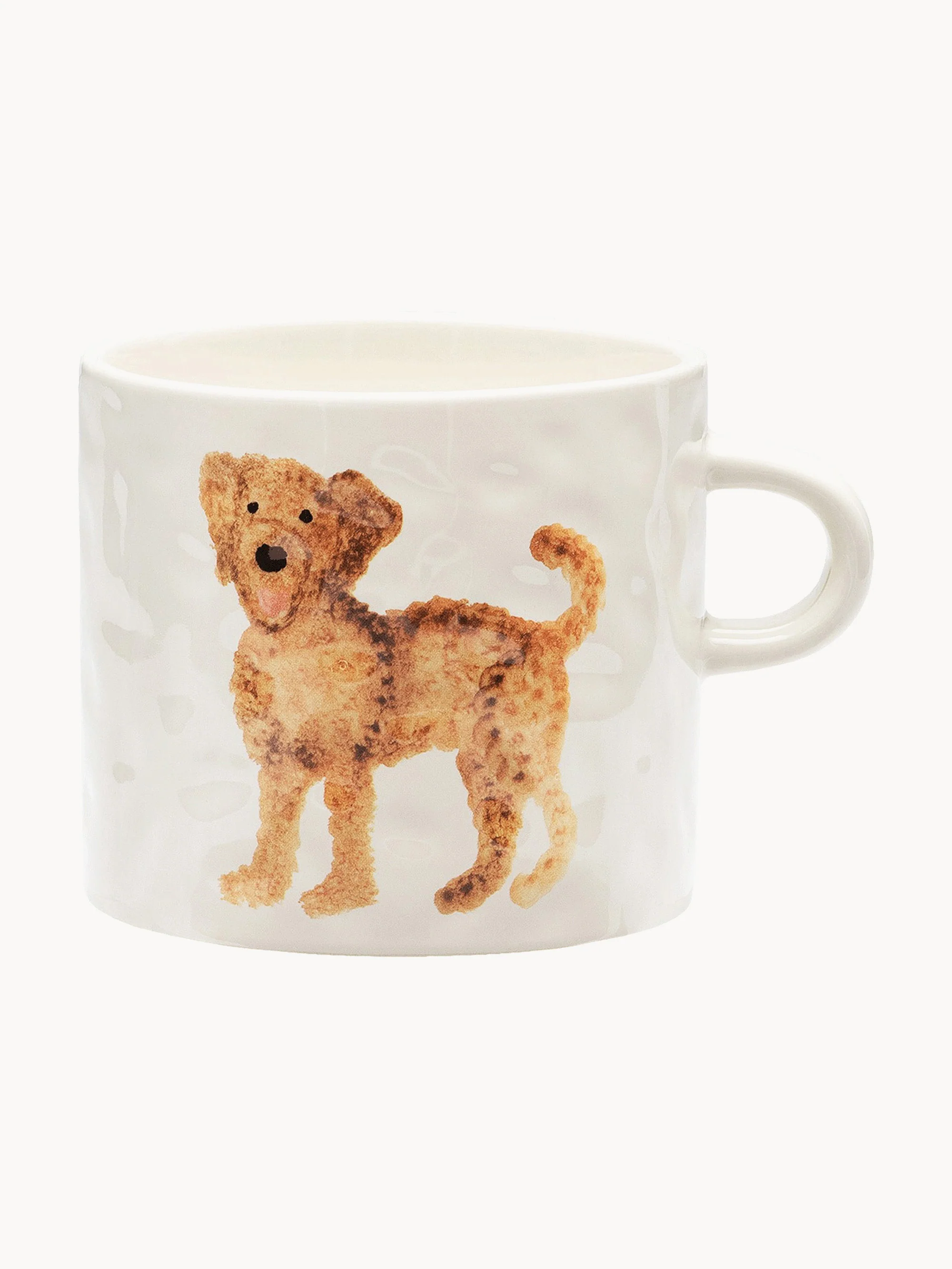 Kopje Labradoodle