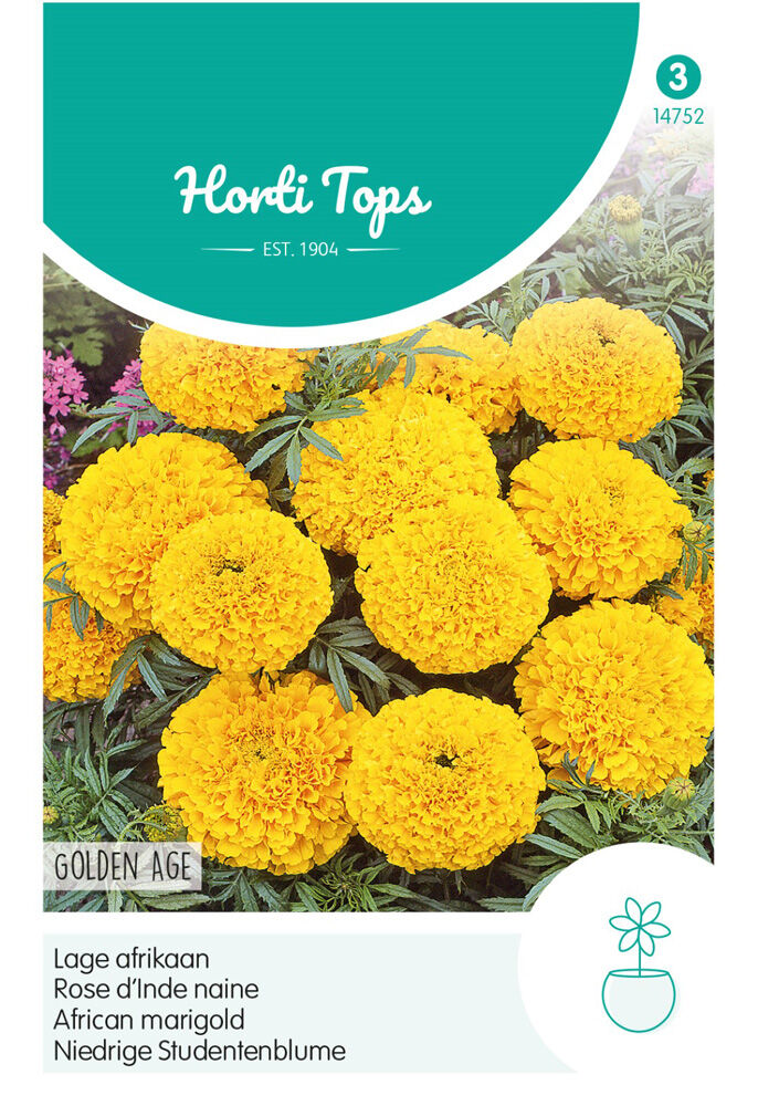 Hortitops Lage Afrikaan Golden Age - Bloemzaden