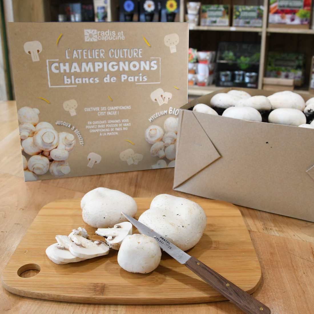 Boite de culture : champignons de Paris bio