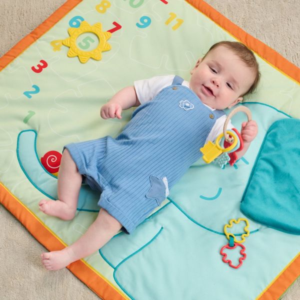 Chicco ECO  Sleutelbos Bijtring