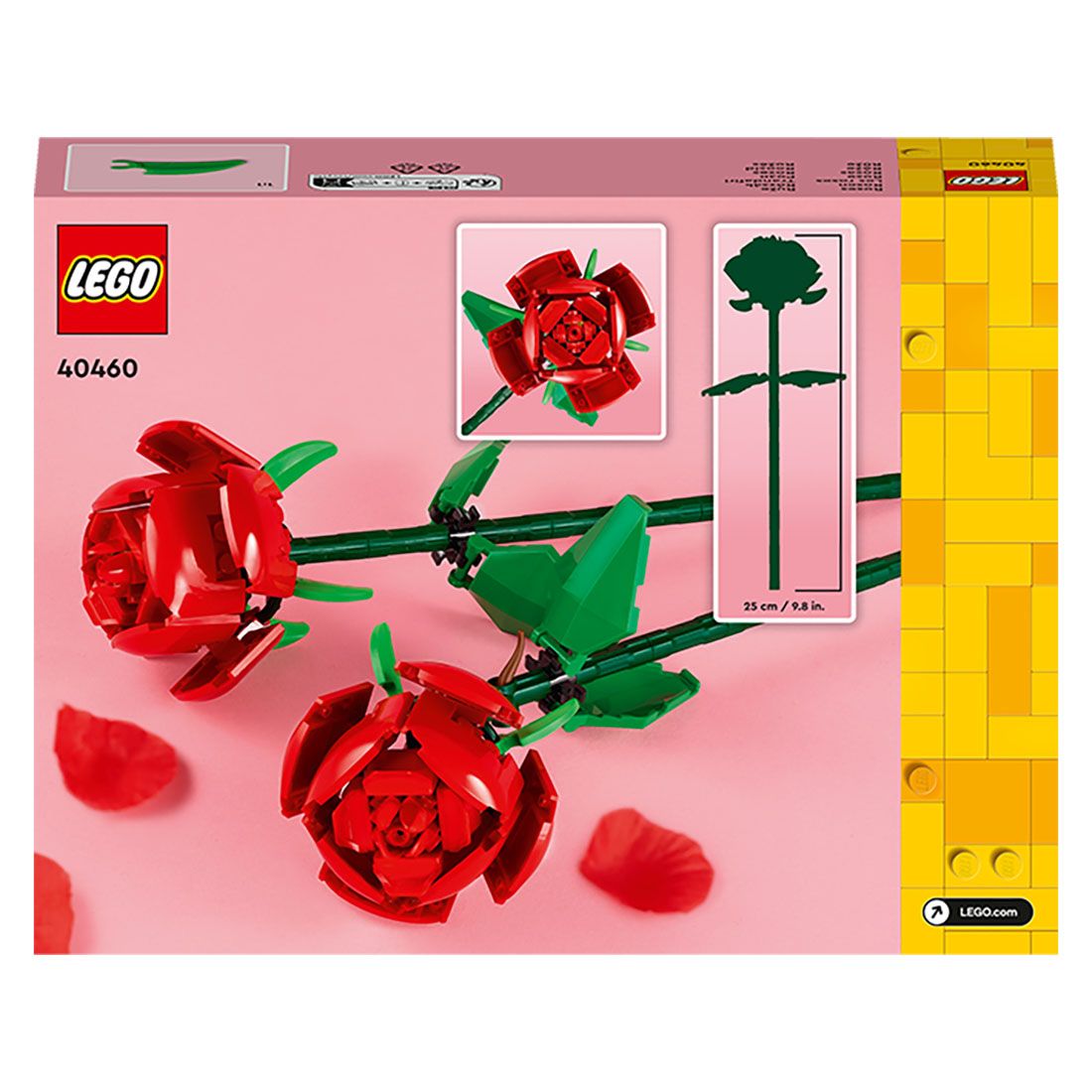 Roses