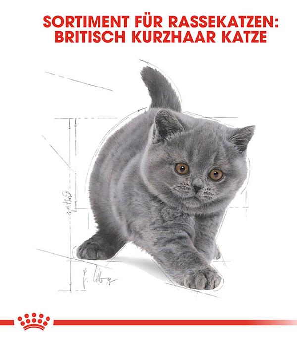ROYAL CANIN® Trockenfutter für Katzen