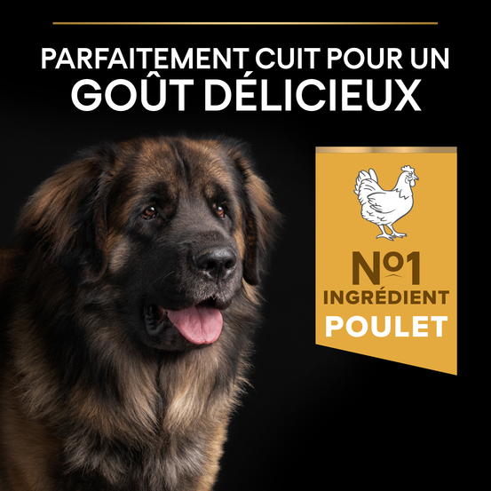 Croquettes chien adulte de grande taille Super Premium - 14 kg