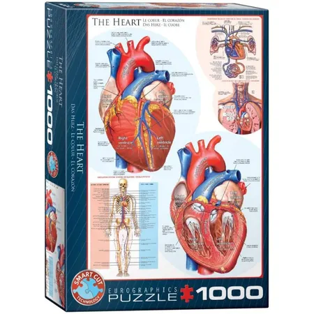 Eurographics Das Herz, 1000 Teile
