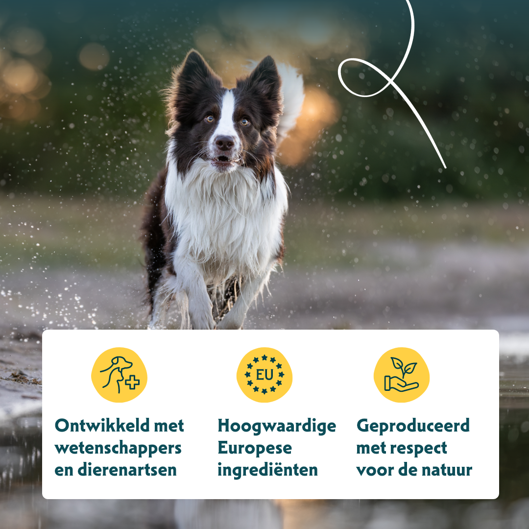 Yarrah - Paté Hond Kuipje met Kip en Kalkoen Bio