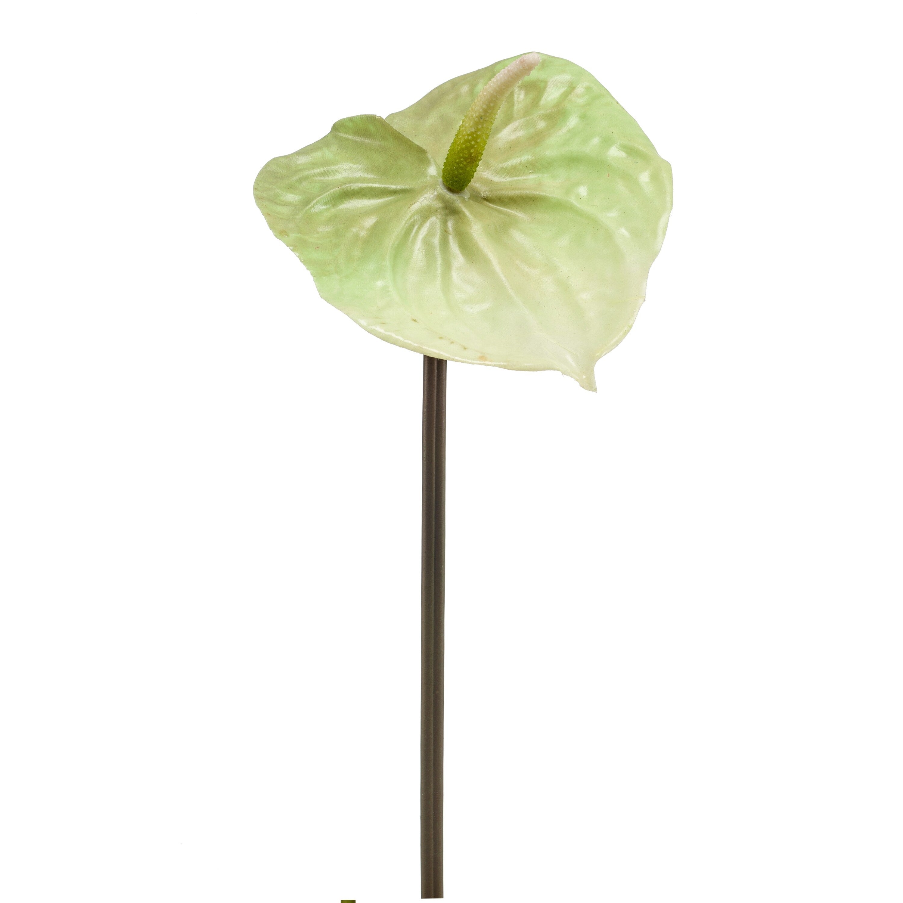 Fleurdirect Kunstbloem Anthurium Groen -  - 0x65x0cm (BxHxD)