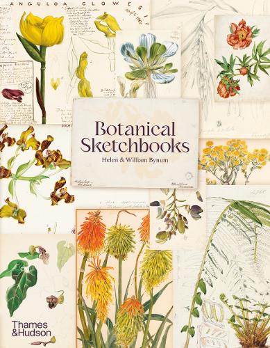 Botanical Sketchbooks (Paperback)