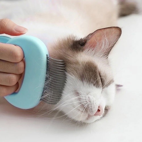 Pente para animais de estimação MyPetCare, verde