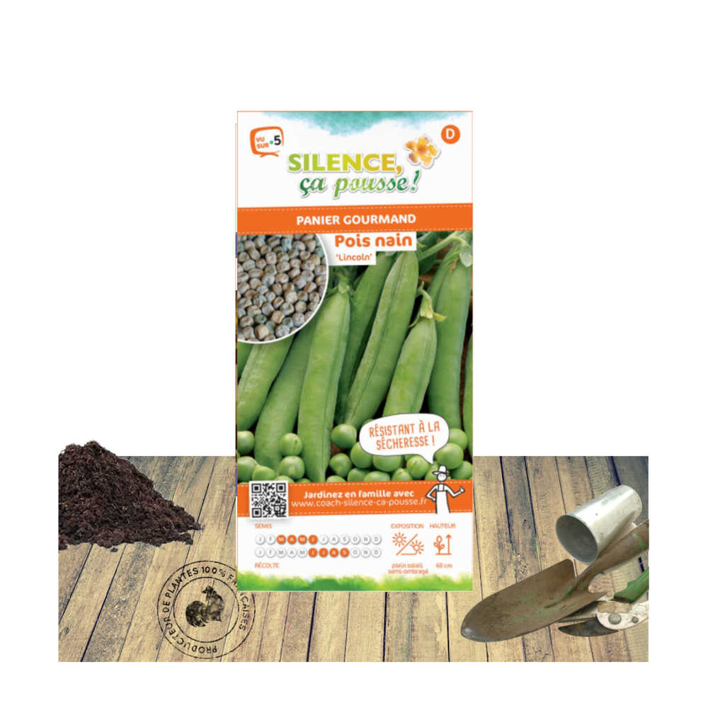 Graines de pois nain grain ridé lincoln/pisum sativum nain grain ridé lincoln[-]sachet de 80 gr.