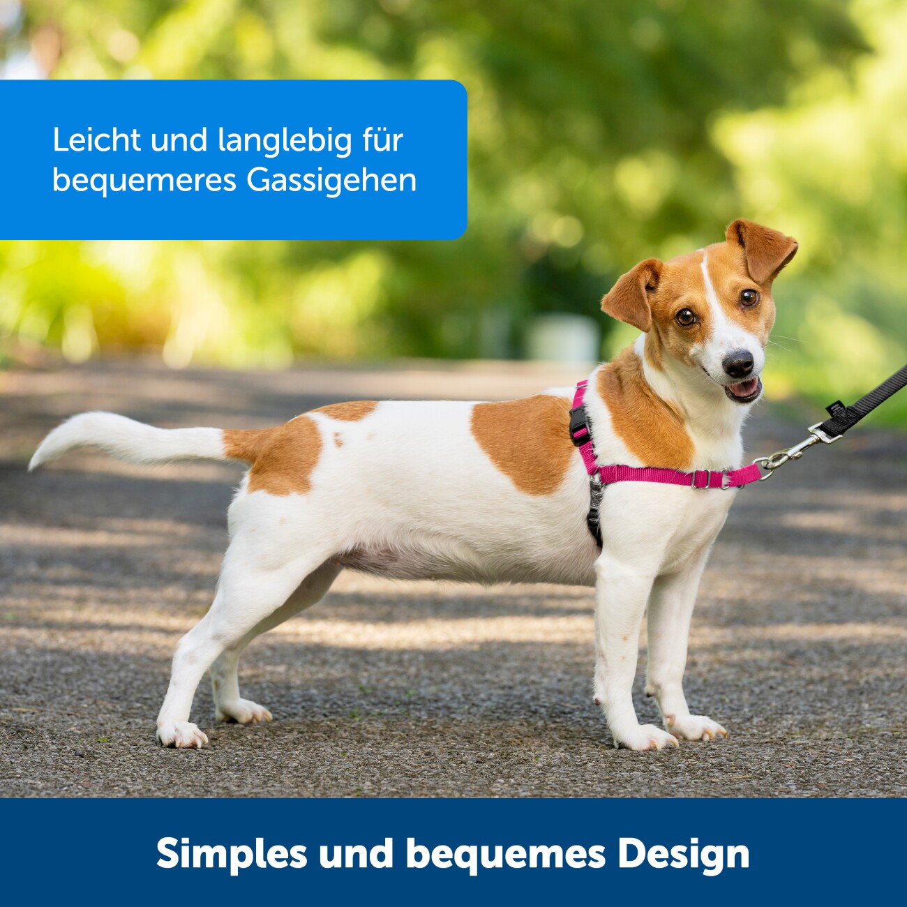 PetSafe Easy Walk Anti-Zieh-Hundegeschirr schwarz S