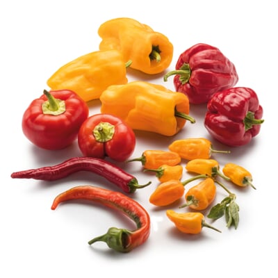 Gemüsesamen Besondere Chilis und Paprika