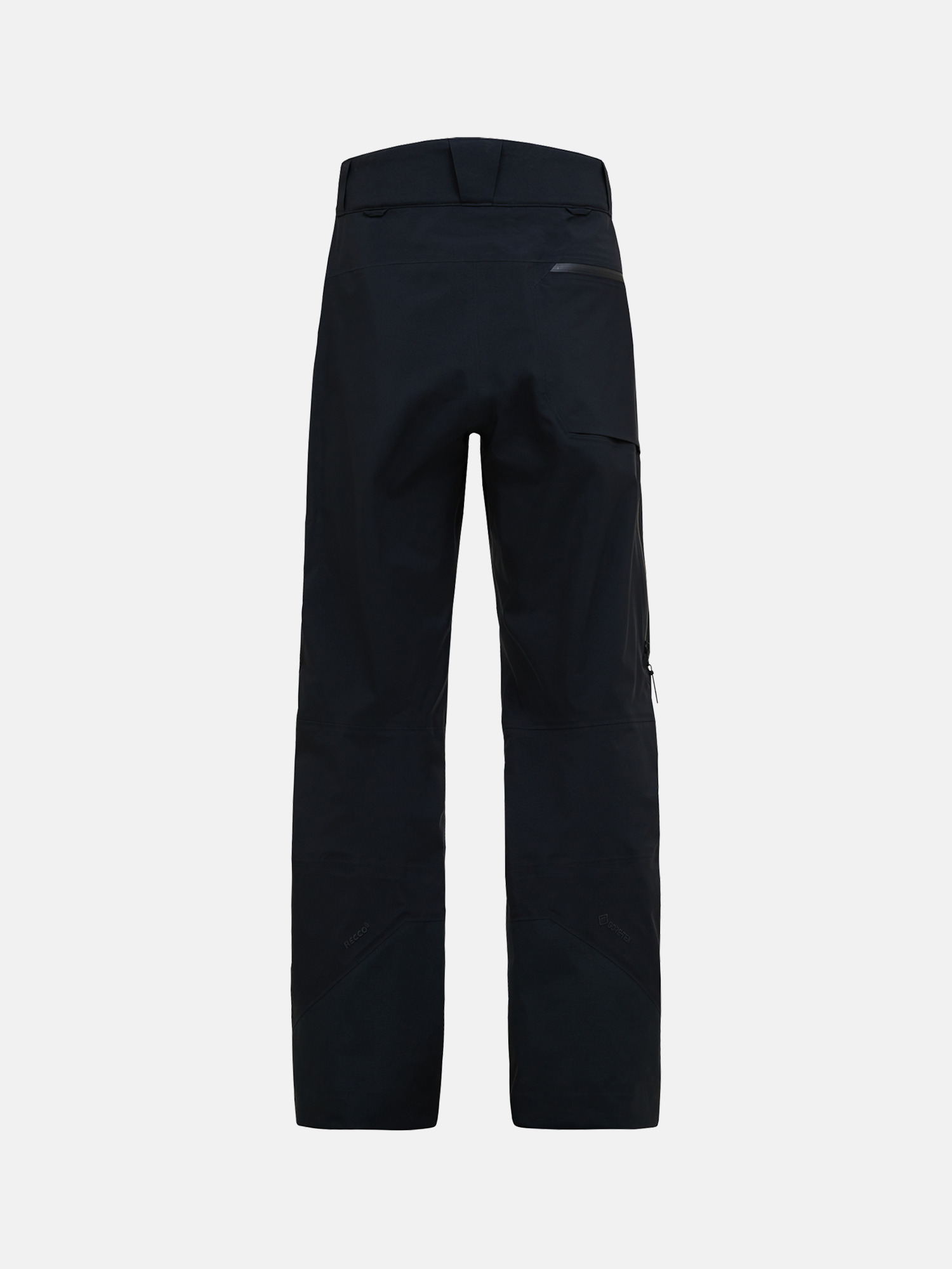 M Alpine GTX 3L Pants