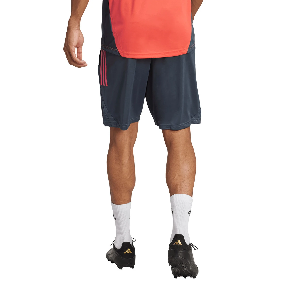 Calções adidas Fc Bayern Training 2025-2026