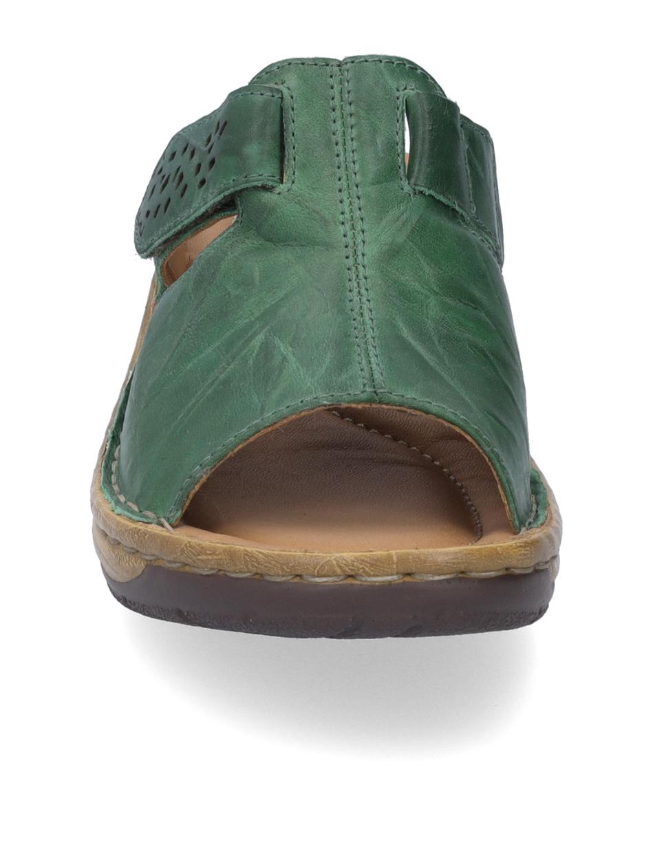 Clog Catalonia 32, tanne