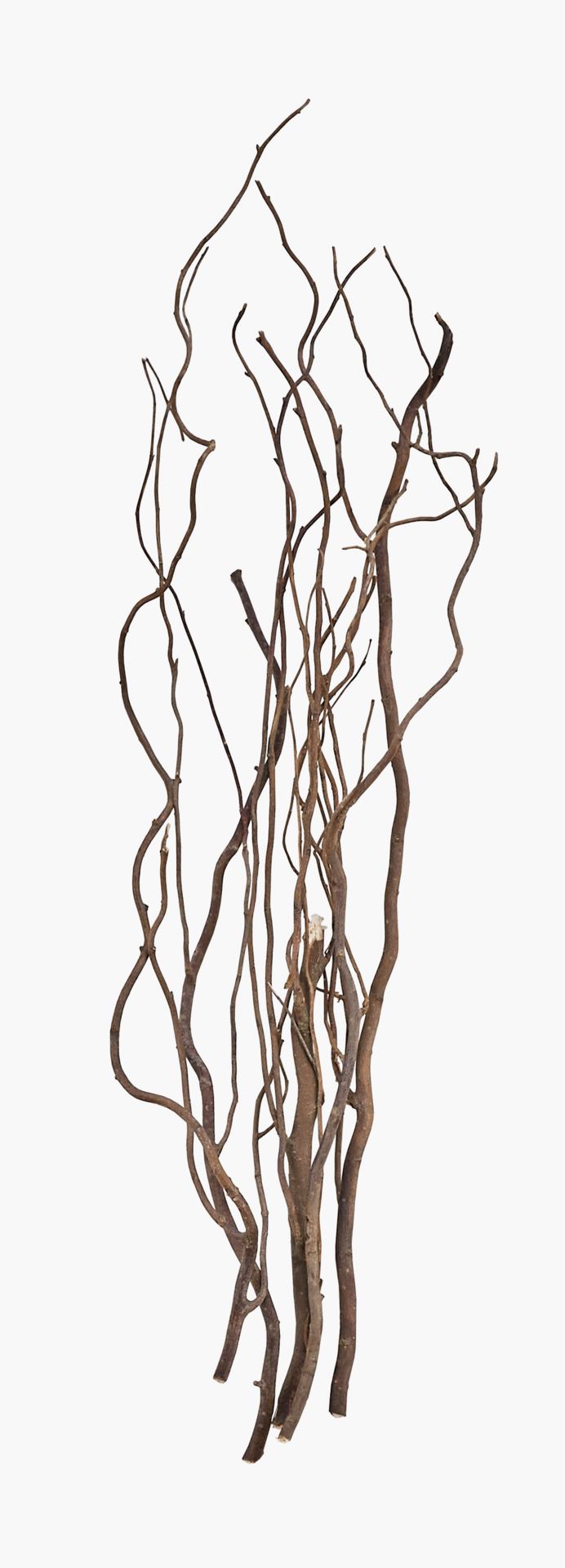 Kvist brun - 80 cm