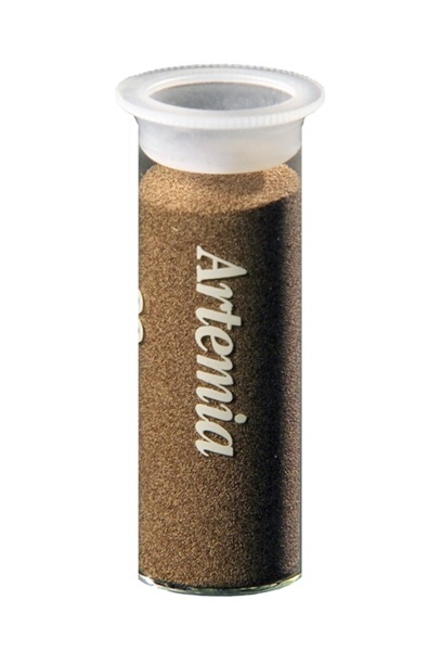 Hobby Artemia Eitjes 20ml
