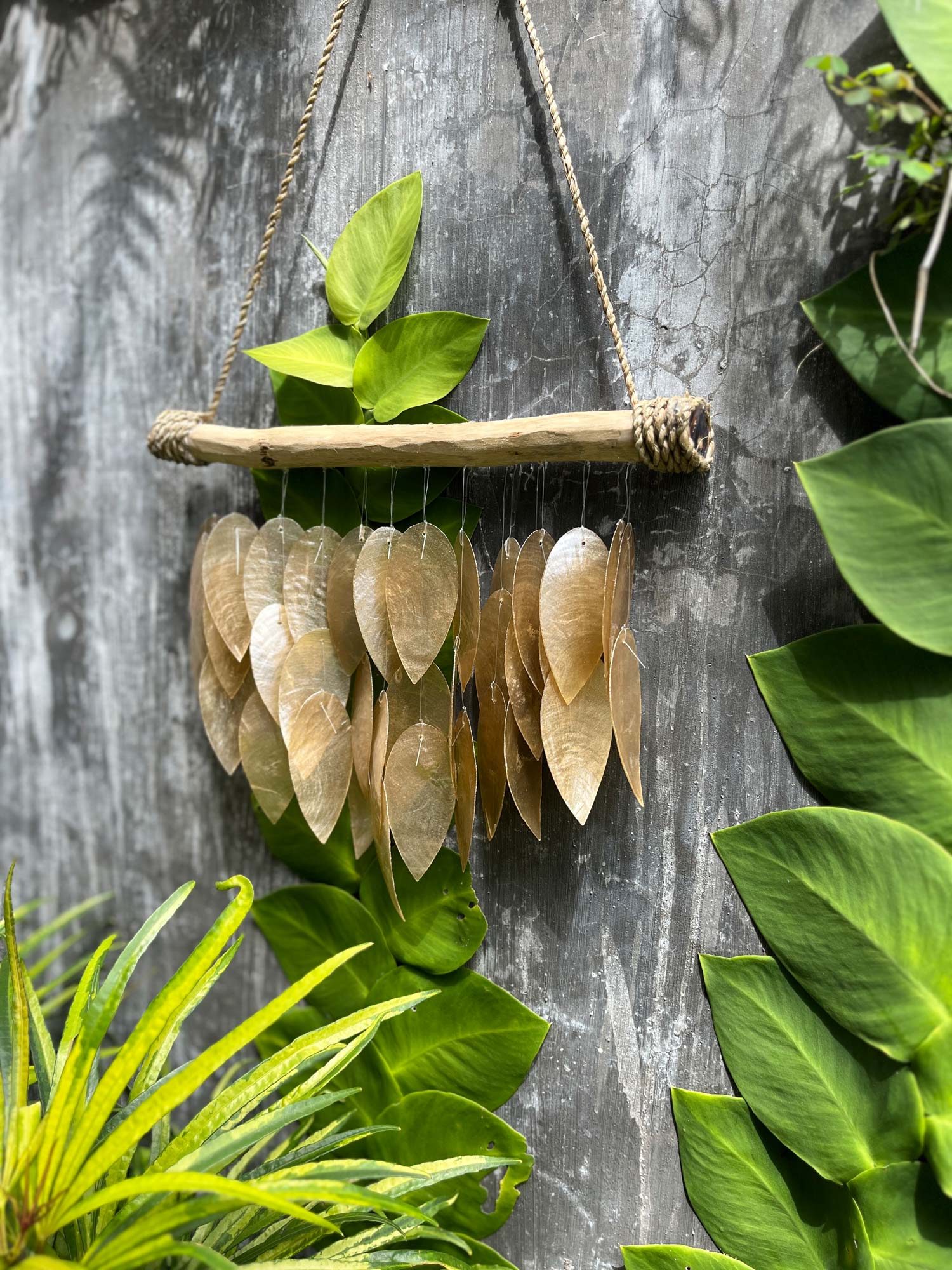 Muschel-Windspiel natur, B 30 cm, H 25 cm, L 4 cm günstig bestellen