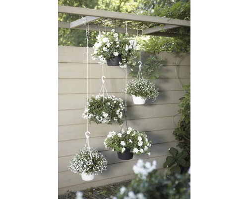 elho Green Basics hangende plantenbakset, kunststof, Ø 28 cm, H 18 cm, zwart, inclusief houder en schotel