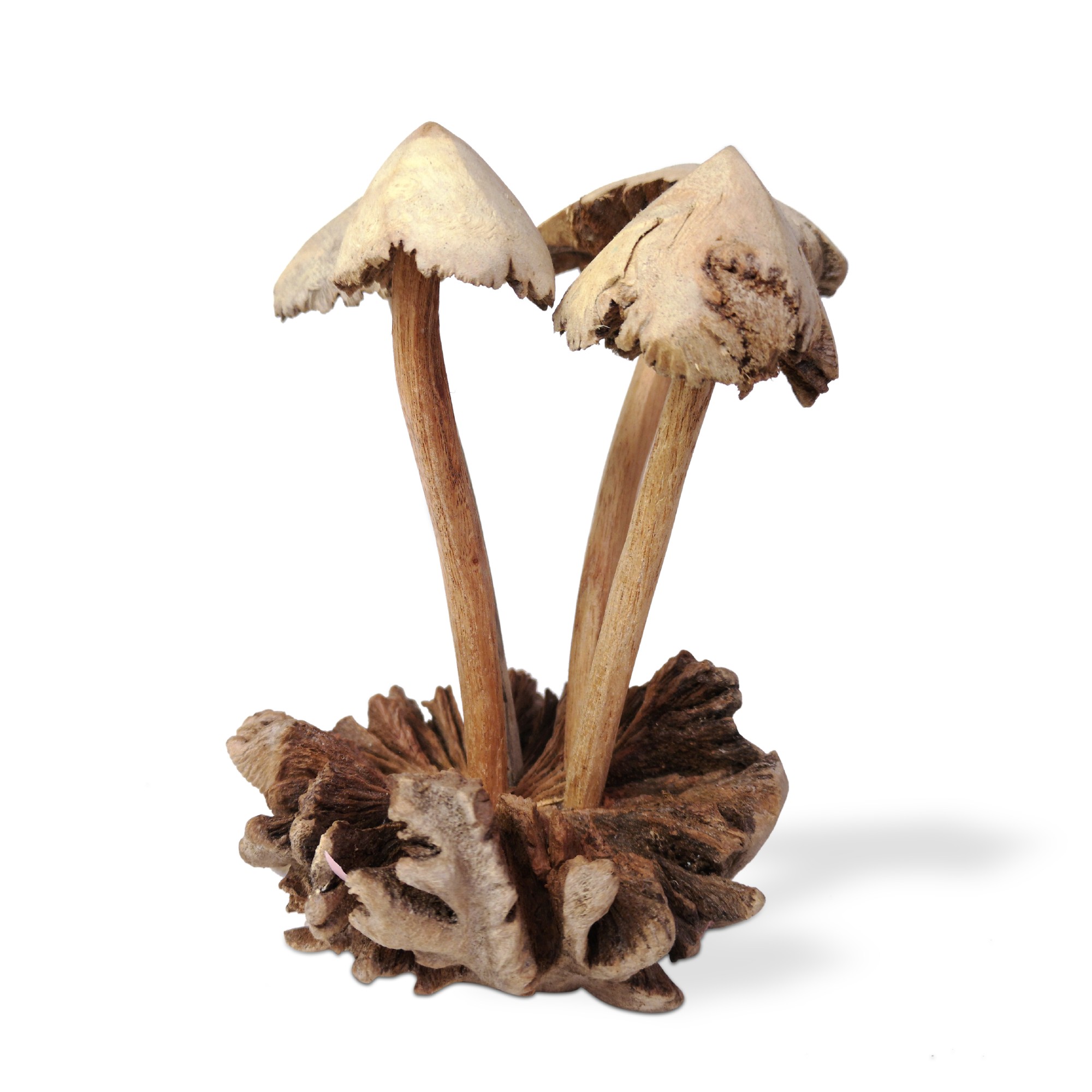 Figur 'Blätterpilz' aus Holz, Ø 13 cm, H 15 cm von fischer's lagerhaus