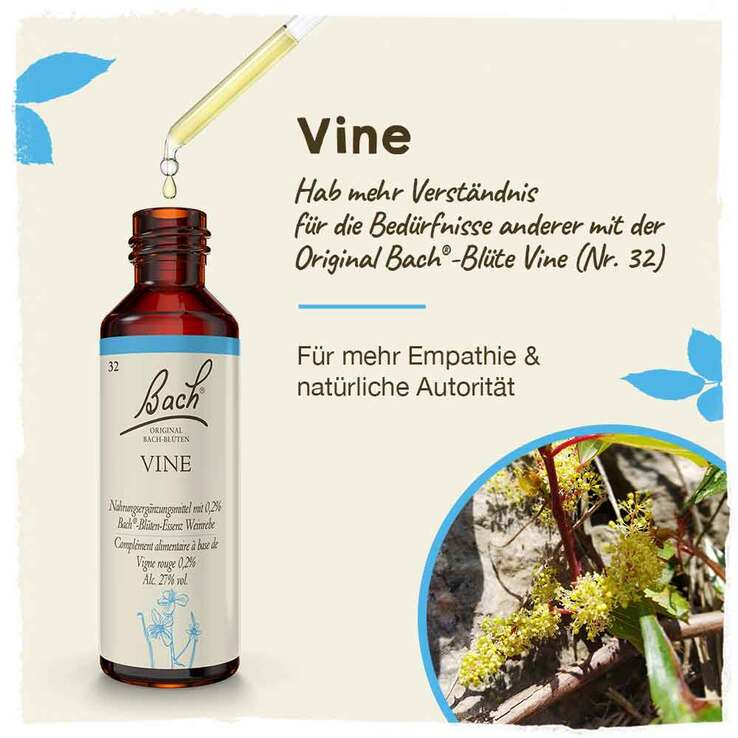 Bachblüten Nr. 32 Vine Tropfen, 20 ml