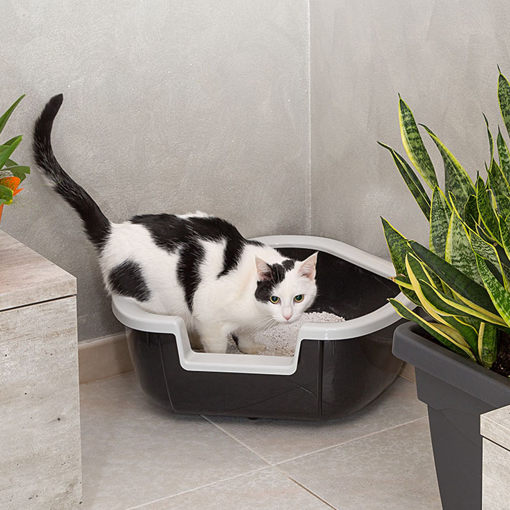 Ferplast bac litiere pour chat, maison de toilette pour chat, bac à litière d'angle, avec bords hauts et entrée basse, 57,5 x 51,5