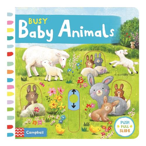 Busy Baby Animals - Campbell Busy Books (Board book)