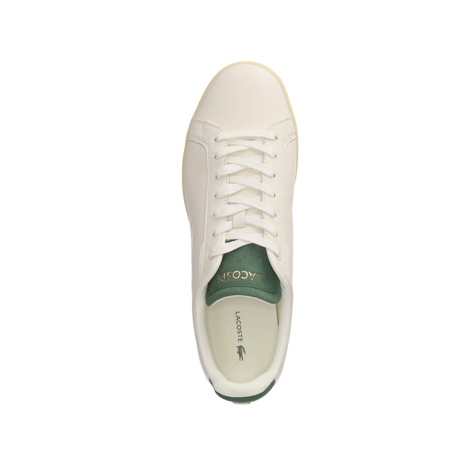 Lacoste Low Sneaker CARNABY PRO - off wht